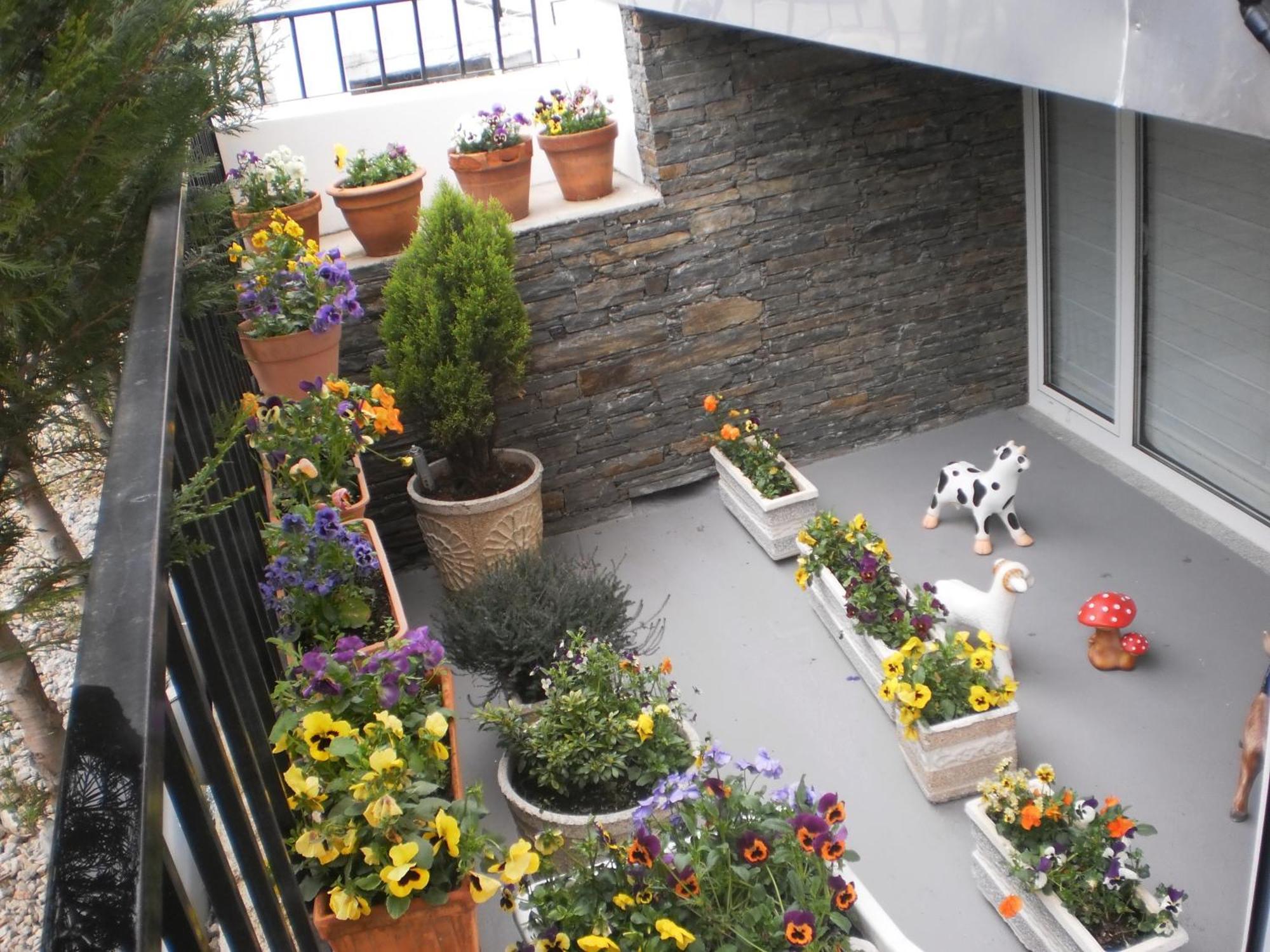 Hotel Santa Apolonia Bragança Εξωτερικό φωτογραφία